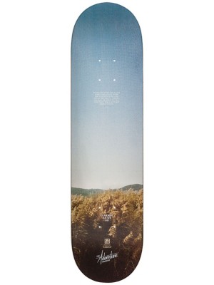 The Adventure HB 8" Skateboard Deck