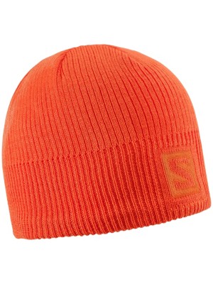 Logo Beanie